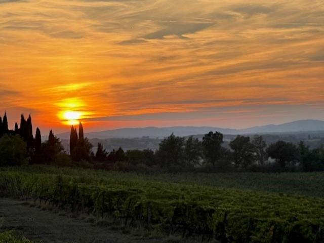 Podere Borgaruccio Peccioli Zewnętrze zdjęcie