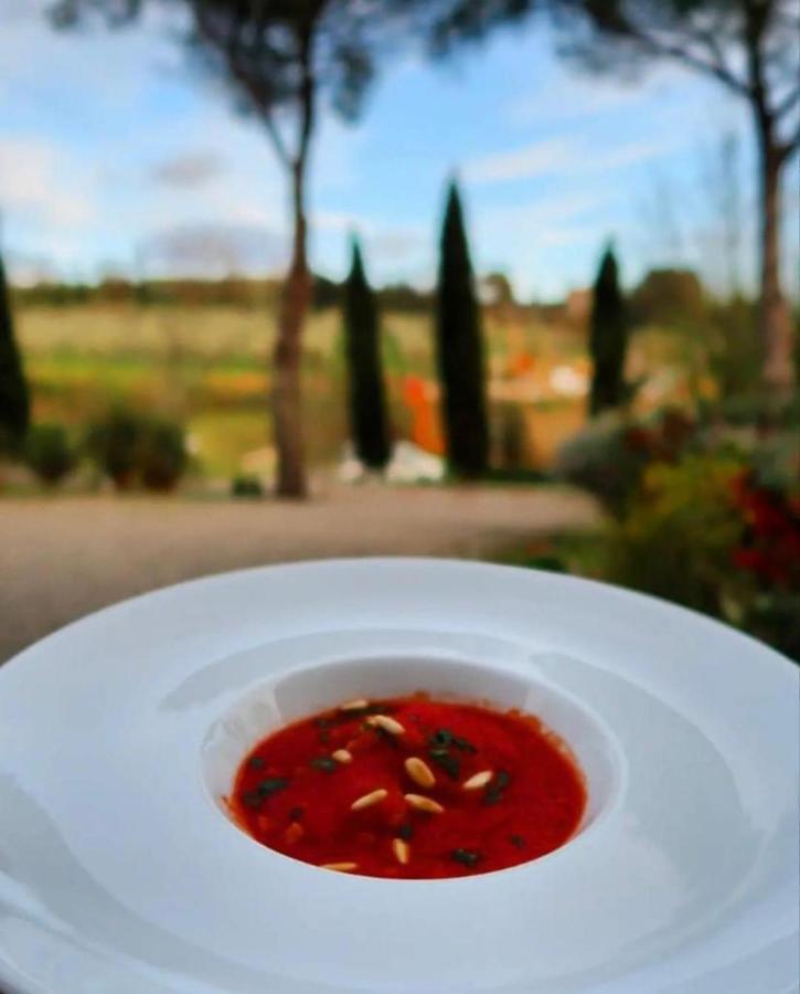 Podere Borgaruccio Peccioli Zewnętrze zdjęcie