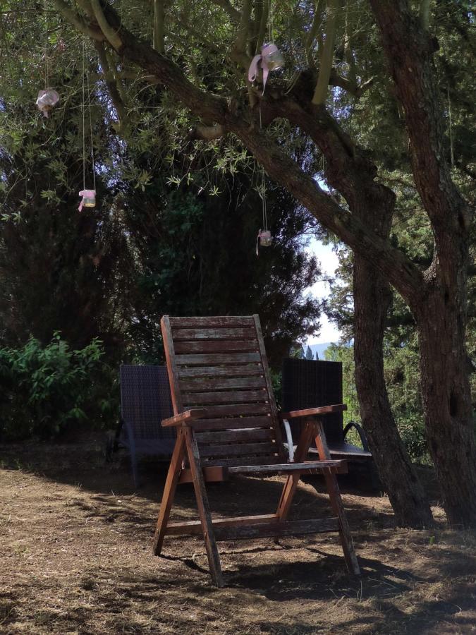 Podere Borgaruccio Peccioli Zewnętrze zdjęcie