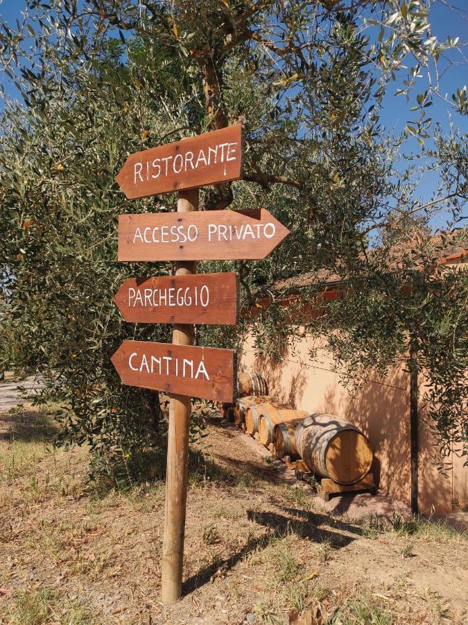 Podere Borgaruccio Peccioli Zewnętrze zdjęcie