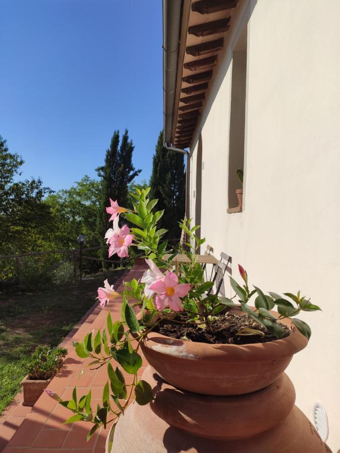 Podere Borgaruccio Peccioli Zewnętrze zdjęcie