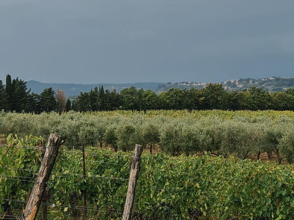 Podere Borgaruccio Peccioli Zewnętrze zdjęcie