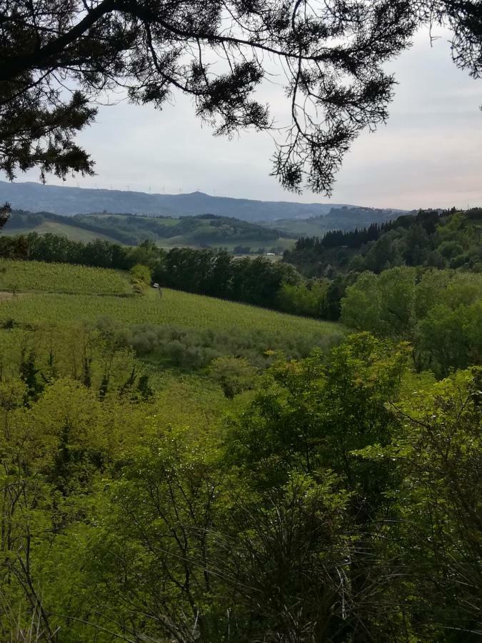 Podere Borgaruccio Peccioli Zewnętrze zdjęcie